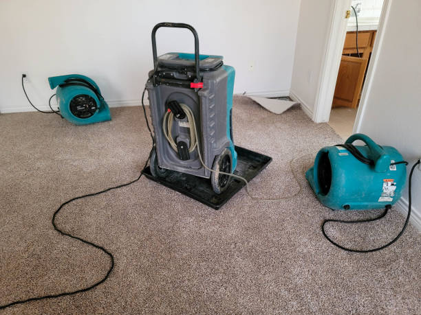 Best Water damage restoration services  in Bishopville, SC