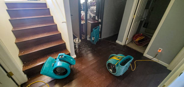 Best Basement water damage restoration  in Bishopville, SC