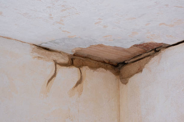 Best Water damage contractors near me  in Bishopville, SC