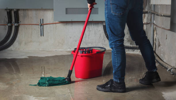Best Water damage restoration near me  in Bishopville, SC