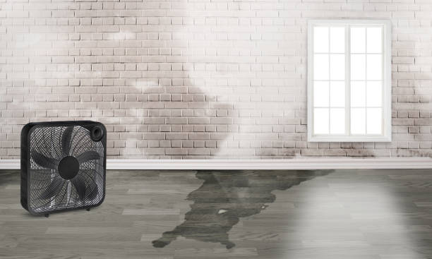 Best Fire Damage Restoration  in Bishopville, SC