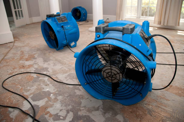 Best Mold removal after water damage  in Bishopville, SC