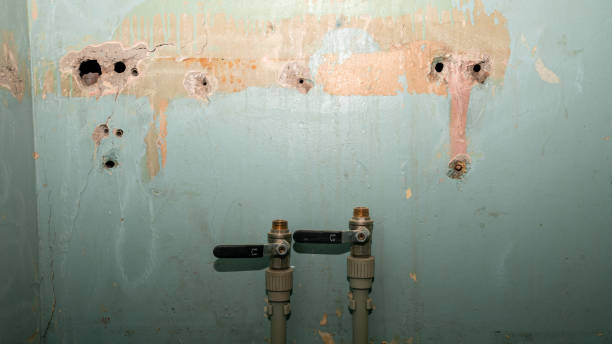 Best Commercial water damage restoration  in Bishopville, SC