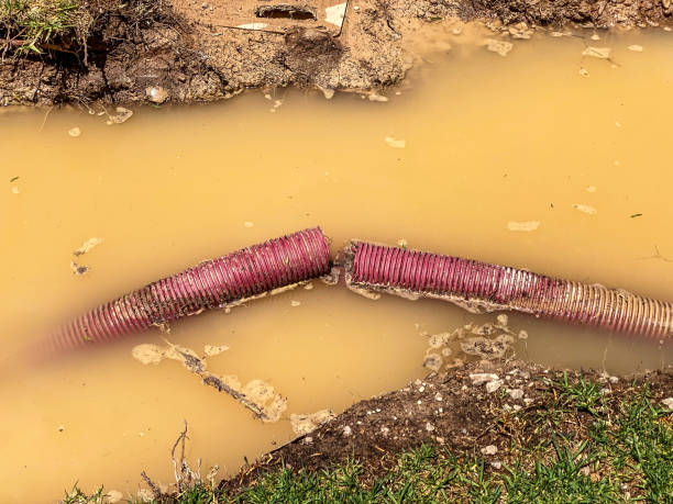 Best Flood restoration services  in Bishopville, SC
