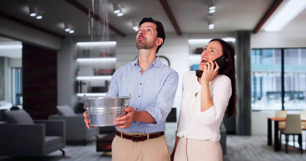 Best Flooded house restoration  in Bishopville, SC