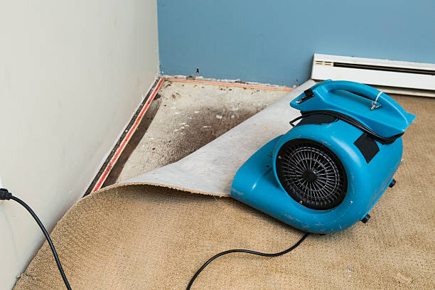 Water damage restoration process in SC
